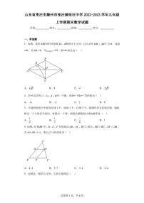 山东省枣庄市滕州市张汪镇张汪中学2022-2023学年九年级上学期期末数学试题