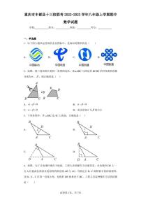 重庆市丰都县十三校联考2022-2023学年八年级上学期期中数学试题