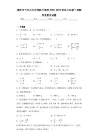 重庆市万州区万州纯阳中学校2022-2023学年七年级下学期月考数学试题（含答案解析）