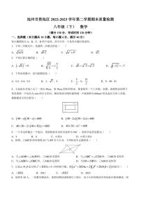 安徽省池州市贵池区2022-2023学年八年级下学期期末数学试题（含答案）