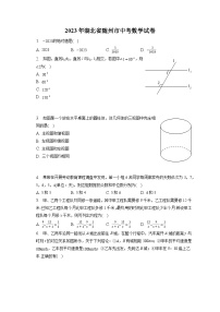 2023年湖北省随州市中考数学试卷(含答案解析)