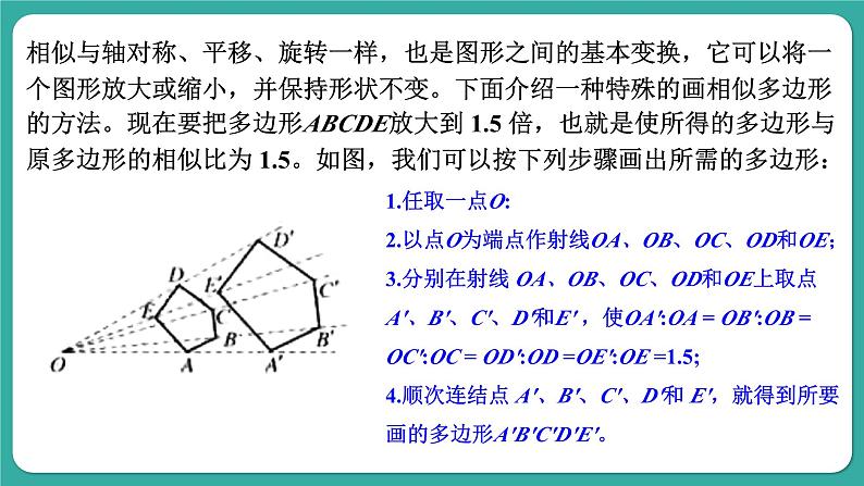 华师大版数学九上23.5 位似图形（课件PPT）04