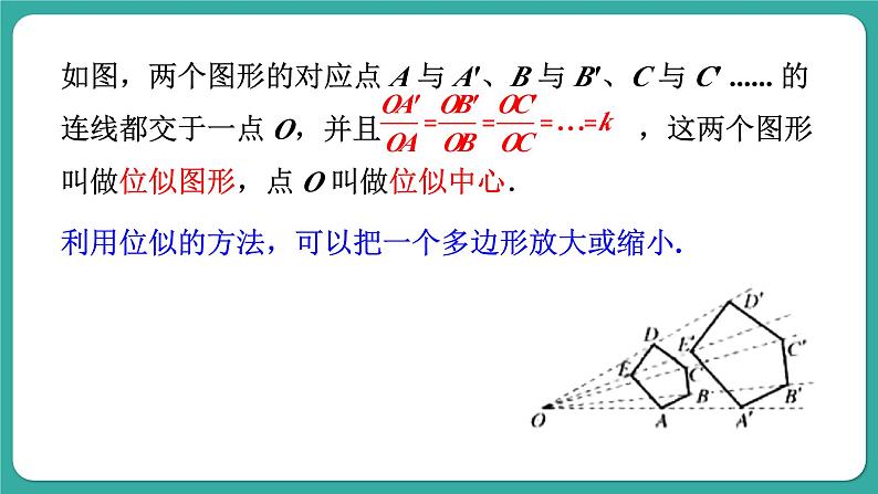 华师大版数学九上23.5 位似图形（课件PPT）05