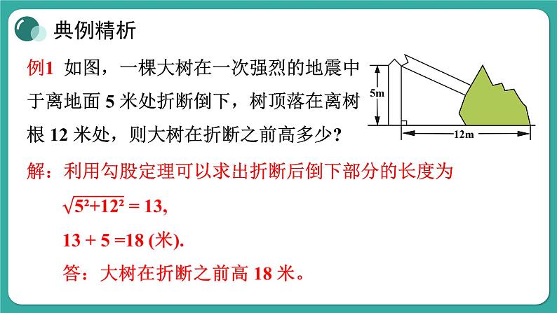 华师大版数学九上24.4 第1课时 解直角三角形及其简单应用（课件PPT）04