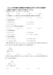 广东省梅州市丰顺县龙山中学2022-2023学年八年级下学期2月月考数学试题(含答案)