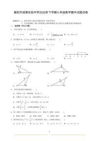 湖南省衡阳市成章实验中学2022-2023学年七年级下学期 数学期中试题(含答案)