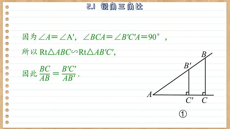 青岛版数学九上2.1  锐角三角比 （课件PPT）08