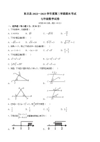 安徽省池州市东至县2022-2023学年七年级下学期期末数学试题（含答案）