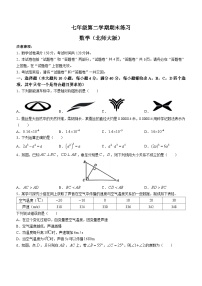 安徽省宿州市砀山县2022-2023学年七年级下学期期末数学试题（含答案）