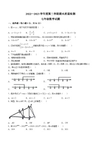 河北省秦皇岛市昌黎县2022-2023学年七年级下学期7月期末数学试题（含答案）