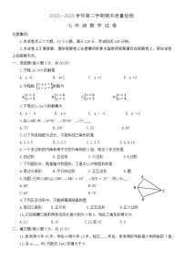 河南省洛阳市宜阳县2022-2023学年七年级下学期期末数学试卷（含答案）