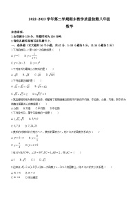 河北省邢台市临西县2022-2023学年八年级下学期期末数学试题（含答案）