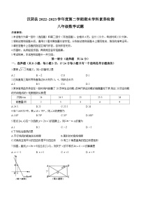 陕西省安康市汉阴县2022-2023学年八年级下学期7月期末数学试题（含答案）