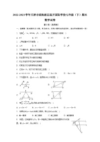 天津市+滨海新区天津经济技术开发区国际学校2022-2023+学年七年级下学期+数学期末测试卷