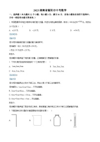 2023年湖南省衡阳市中考数学真题（含解析）