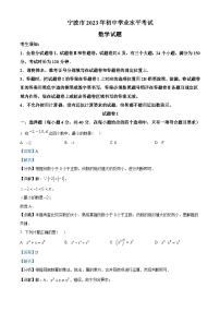 2023年浙江省宁波市中考数学真题（含解析）