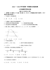 河北省秦皇岛市抚宁区2022_2023年学年七年级下学期期末数学试题（含答案）