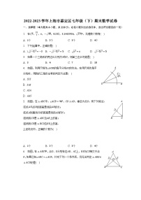 2022-2023学年上海市嘉定区七年级（下）期末数学试卷（含解析）