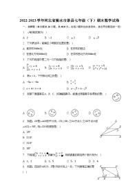 2022-2023学年河北省衡水市景县七年级（下）期末数学试卷（含解析）