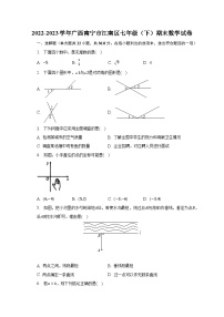 2022-2023学年广西南宁市江南区七年级（下）期末数学试卷