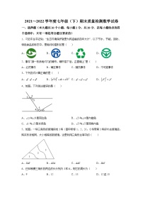 辽宁省锦州市2021-2022学年七年级下学期期末质量检测数学试卷(含解析)