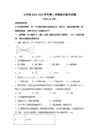 山东省德州市乐陵市2021-2022学年七年级下学期期末考试数学试卷(含解析)