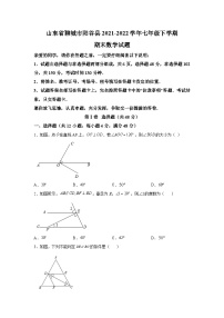 山东省聊城市阳谷县2021-2022学年七年级下学期期末考试数学试卷(含解析)