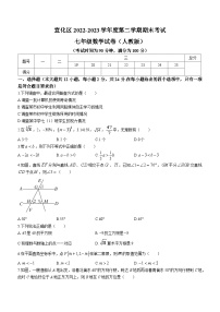 河北省张家口市宣化区2022-2023学年七年级下学期期末考试数学试题（人教版）（含答案）