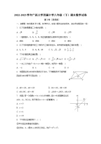 广西壮族自治区+南宁市+西乡塘区广西大学附属中学2022-2023学年八年级下学期期末数学试卷（含答案）