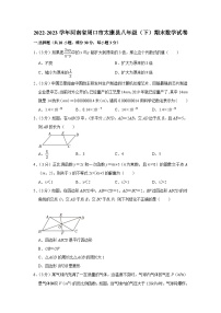 河南省周口市太康县2022-2023学年八年级下学期期末数学试卷（含答案）