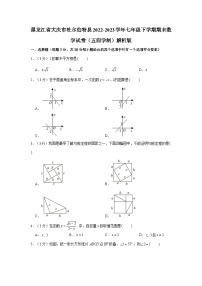 黑龙江省大庆市杜尔伯特县2022-2023学年七年级下学期期末数学试卷及参考答案