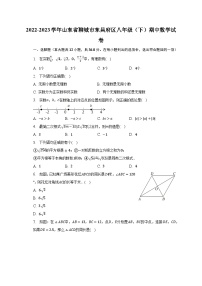 2022-2023学年山东省聊城市东昌府区八年级（下）期中数学试卷