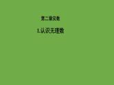 《2.1 认识无理数》（第1课时）教学课件 八年级数学上册北师大版