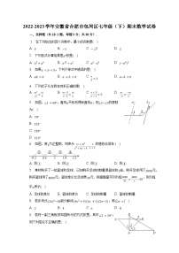 安徽省合肥市包河区2022-2023学年七年级下学期6月期末数学试题