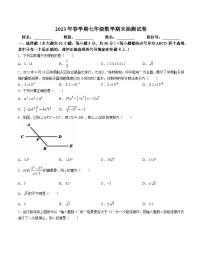 安徽省合肥市长丰县2022-2023学年七年级下学期6月期末数学试题（含答案）