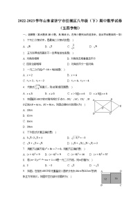 2022-2023学年山东省济宁市任城区八年级（下）期中数学试卷（五四学制）（含解析）