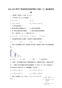 2022-2023学年广东省深圳外国语学校八年级（下）期末数学试卷（含解析）