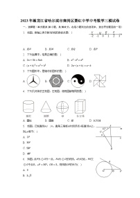 2023年黑龙江省哈尔滨市南岗区萧红中学中考数学三模试卷（含解析）