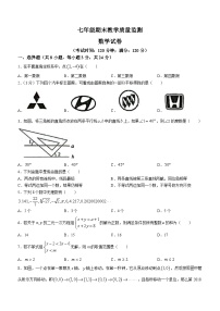 七年级下学期期末数学试题