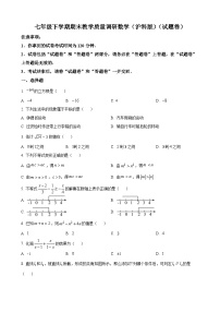 七年级下学期期末数学试题