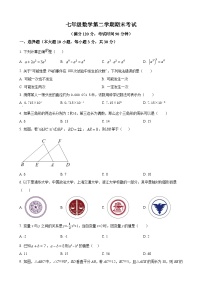 七年级下学期期末数学试题