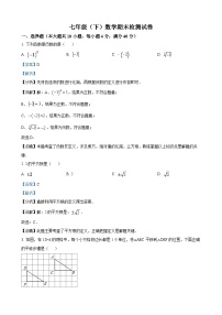 七年级下学期期末数学试题（解析版）