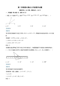 七年级下学期期末数学试题（解析版）