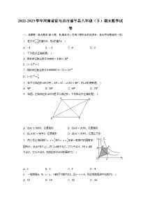 2022-2023学年河南省驻马店市遂平县八年级（下）期末数学试卷