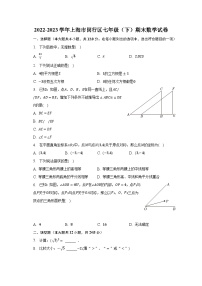 2022-2023学年上海市闵行区七年级（下）期末数学试卷（含解析）