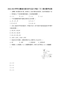 2022-2023学年安徽省合肥市庐江县八年级（下）期末数学试卷（含解析）