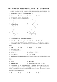 2022-2023学年广西南宁市邕宁区八年级（下）期末数学试卷（含解析）