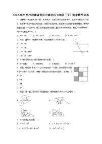 2022-2023学年河南省郑州市惠济区七年级（下）期末数学试卷（含解析）