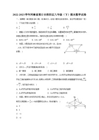 2022-2023学年河南省周口市淮阳区八年级（下）期末数学试卷（含解析）