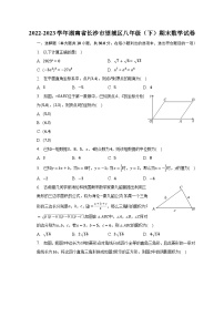 2022-2023学年湖南省长沙市望城区八年级（下）期末数学试卷（含解析）